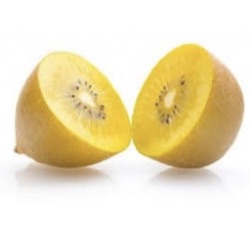 Actinidia deliciosa 'Golden Kiwi'